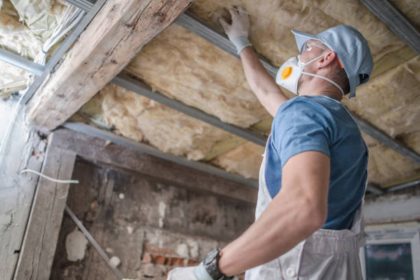 Best Insulation Installation Services in South River, NM